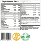 Neuro Plus Brain and Focus